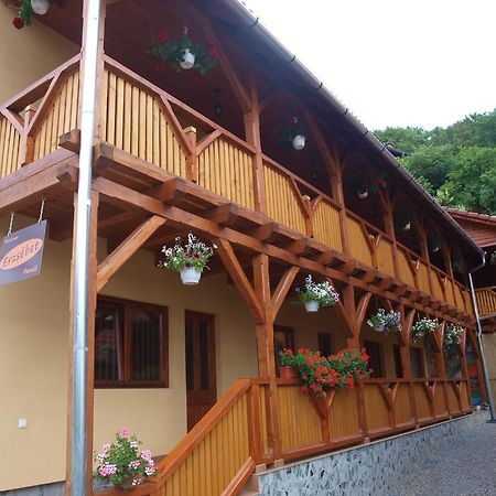 Pensiunea Elisabeta Sovata Exterior foto