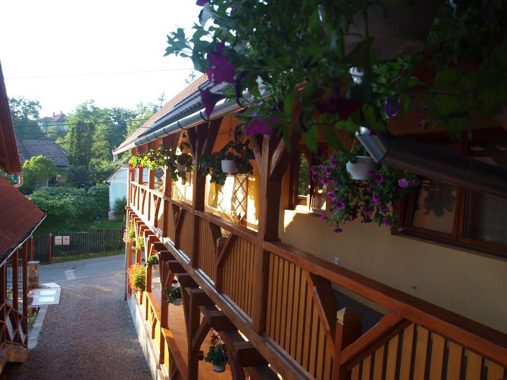 Pensiunea Elisabeta Sovata Exterior foto