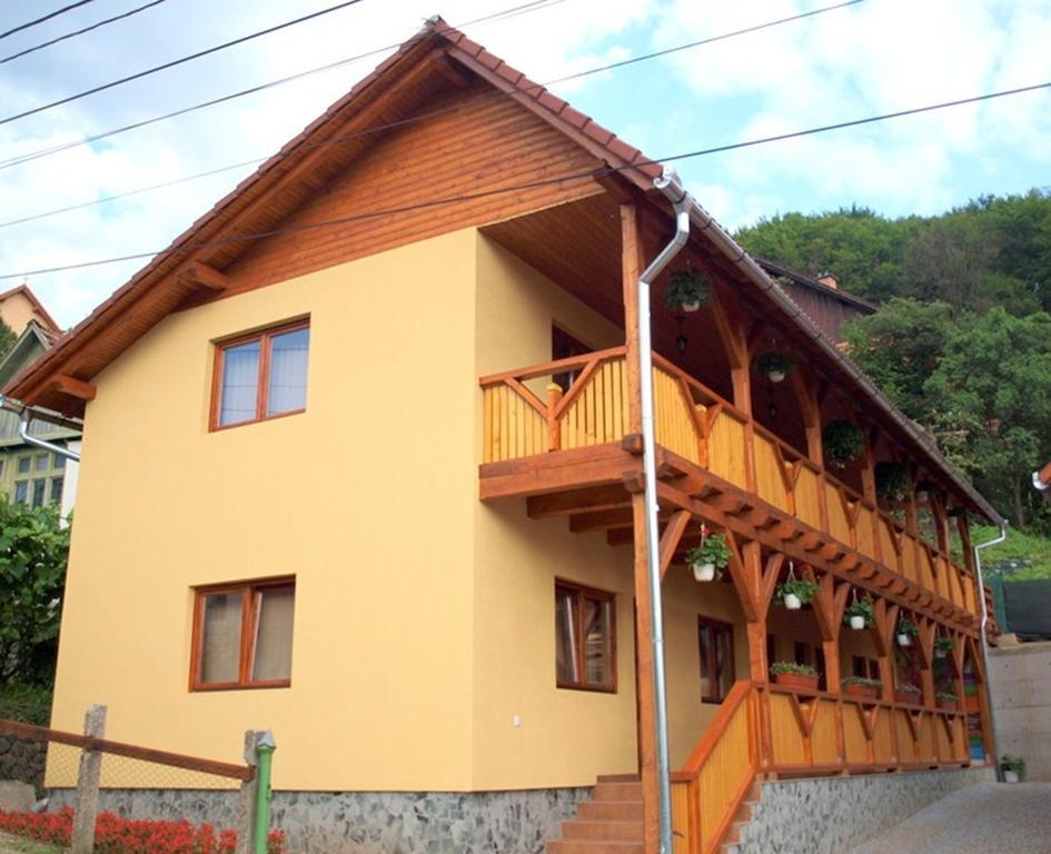 Pensiunea Elisabeta Sovata Exterior foto